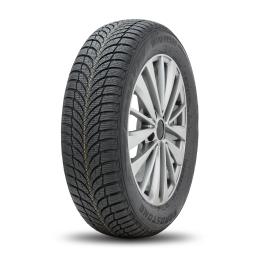 Roadstone Winguard SnowG WH2 205/60R16 92H