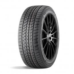 Doublestar Winterking DW02 205/55R16 91T